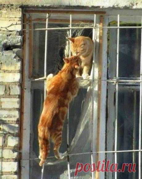 20 фотографий, от которых хочется жить