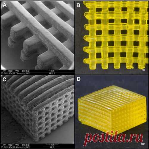 Создан новый способ 3D-печати гидрогелем Исследователи представили новый способ 3D-печати гидрогелем, который даст возможность создавать композиции размерами до 100 нанометров.