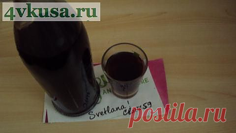 Домашний кофейный ликер | 4vkusa.ru