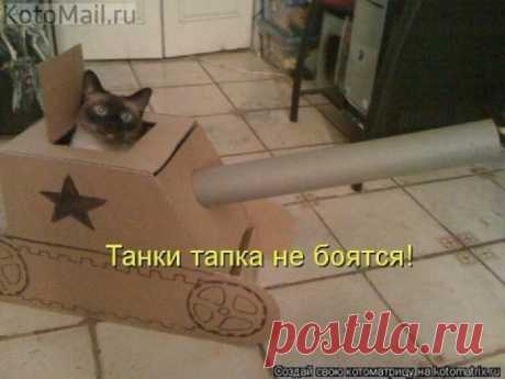 Танки тапка не боятся))) | KotoMail.ru