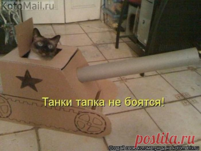 Танки тапка не боятся))) | KotoMail.ru
