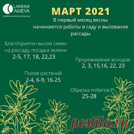 Лунный календарь садовода на март 2021
Дорогие, ловите лунный календарь садовода и огородника на март 2021 от астрологов...
Читай пост далее на сайте. Жми ⏫ссылку выше