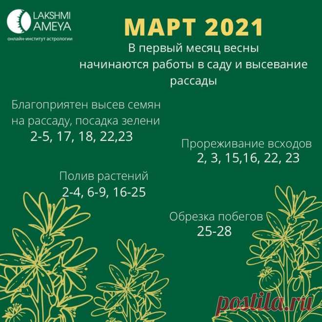 Лунный календарь садовода на март 2021
Дорогие, ловите лунный календарь садовода и огородника на март 2021 от астрологов...
Читай пост далее на сайте. Жми ⏫ссылку выше