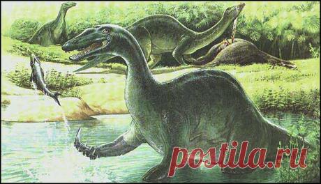 История нашей планеты.