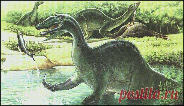 История нашей планеты.