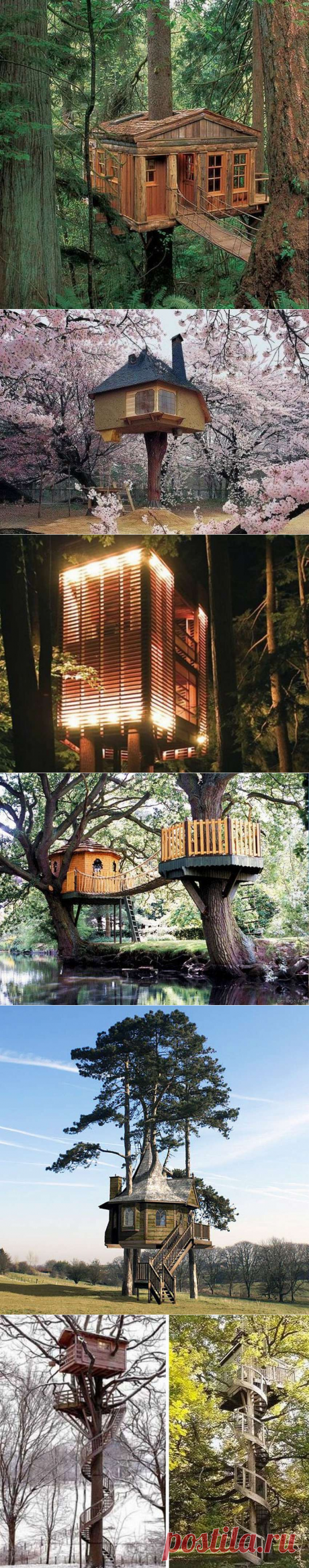 Разные дома на деревьях