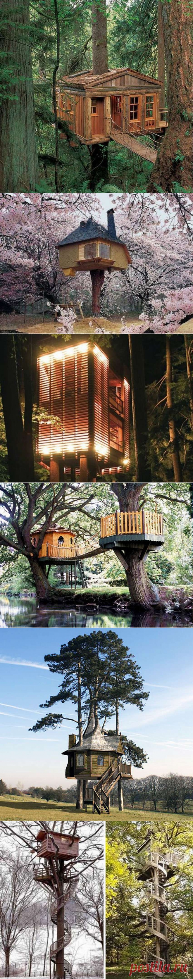 Разные дома на деревьях