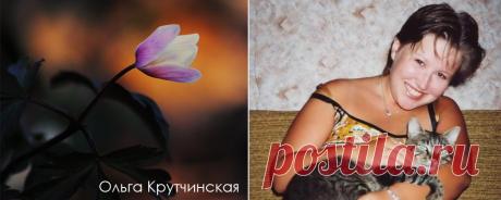 Системно-векторная психология. Ольга Крутчинская. За миллиард лет до конца света. Записки звуковика. Вестник антиклеветы Системно-векторной психологии Юрия Бурлана