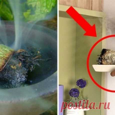 Так можно вывести всю нечисть из своего дома! Способ, который изменил мою жизнь… - МирТесен