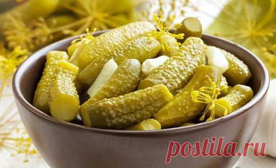 РЕЦЕПТ САМЫХ ВКУСНЫХ СОЛЕНЫХ ОГУРЦОВ 
У огурцов срезаем кончики и погружаем их в ведро со студеной, соленой водой (3 столовые ложки соли на 1 литр воды) на 12 часов. Затем в простерилизованные банки (допустим, в трехлитровые) закладываем на дно хрен, 4-5 смородиновых листов, 3 листа вишни, 2 головки укропа и 6-8 порезанных (так он выделяет больше эфирных масел) на дольки чесночков. Далее ставим огурчики впритык и сверху снова кладем 5-6 смородиновых листов, 2 зонтика укропа, 1 лист дуба, 6-8 по
