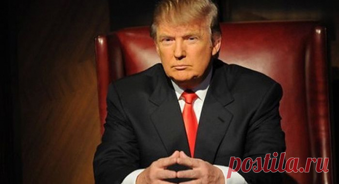 Дональд Трамп: 