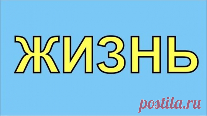 ЖИЗНЬ
