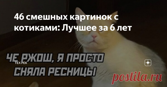 46 смешных картинок с котиками: Лучшее за 6 лет Статья автора «ТЕХ РЕК» в Дзене ✍: Настало время поделиться коллекцией приколов с котиками, которую собирал последние 6 лет. Ближайшие 15 минут Вашей жизни пройдут уморительно, гарантирую!