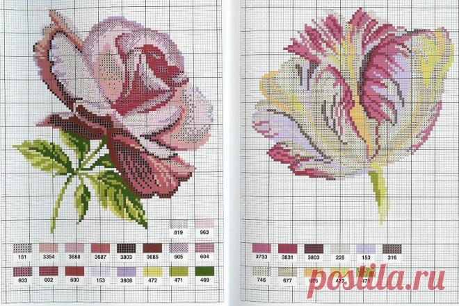 rosas..tulipanes | BertaFilava