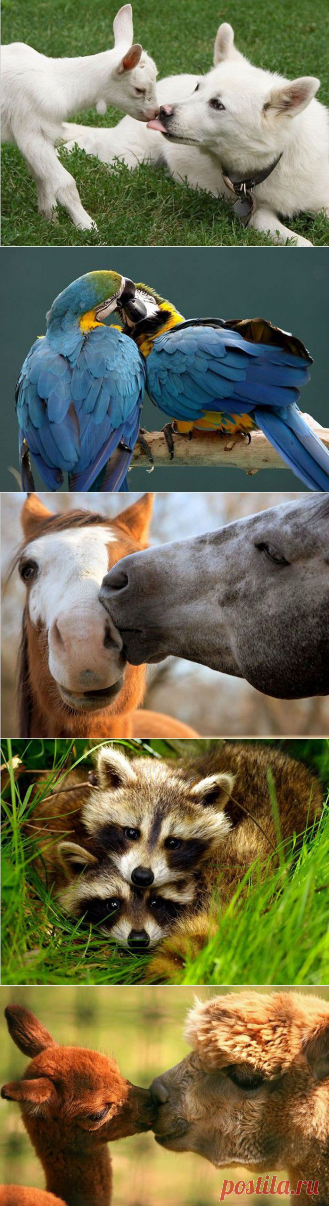 Давайте жить дружно!.