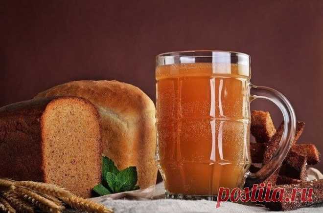 Вкусно до неприличия! 6 рецептов кваса