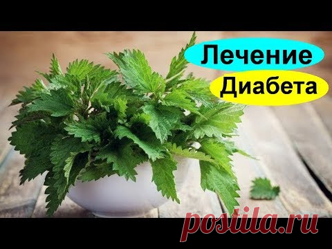 Крапива при диабете заменит 7 докторов и 3 целителя. Как снизить сахар в крови крапивой лечение