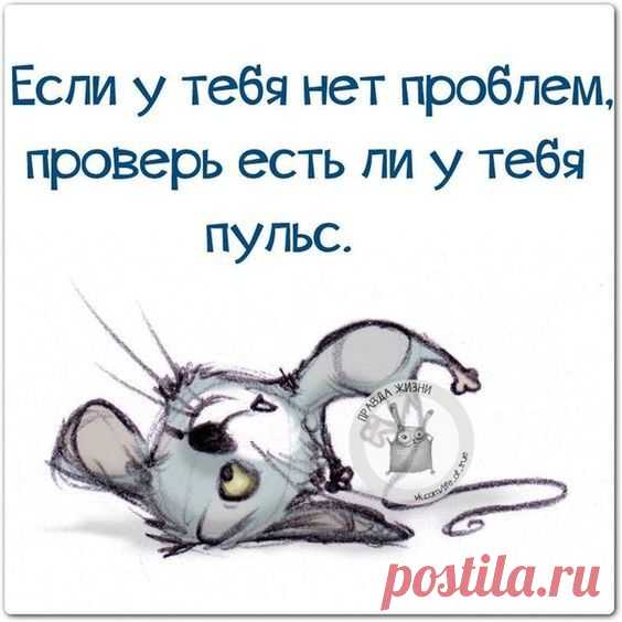 Несколько задорных открыток с отборным юмором