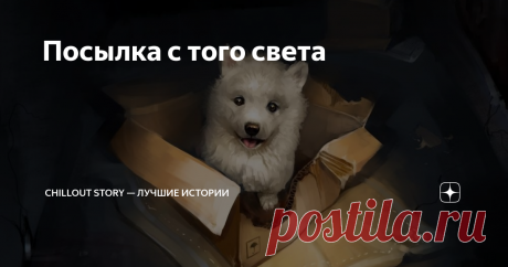 Посылка с того света У подруги собачка умерла возрастная. Со щеночка вынянченная. Любимая. Половина сердца, считай, умерла, и подруга моя от горя слегла: заболела так, что помирать собралась. А дети ее в шоке, конечно. Матери хуже и хуже, а чем помочь? Врачи только руками разводят, мол, она сама себя изводит... А та реально уже отходит! Лежит, в стенку уставилась, ни на что не реагирует, не ест и даже уже не
