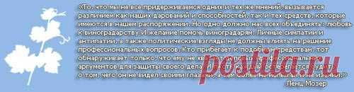 Растения спутники, полезное соседство овощей - форум-виноград