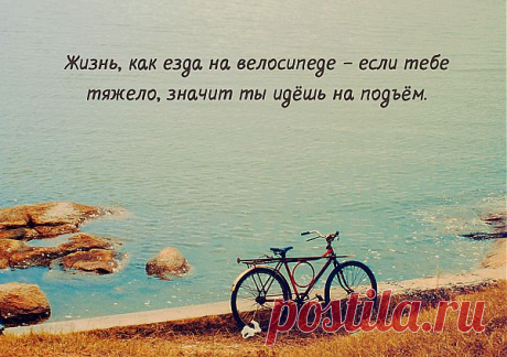 Жизнь - как езда на велосипеде