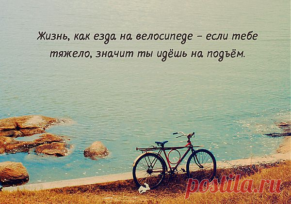 Жизнь - как езда на велосипеде