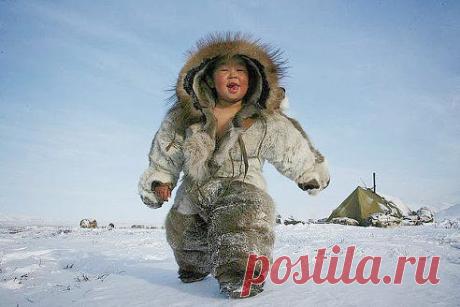 Ни памперсов, ни шарфиков, ни бромгексина! Живу и радуюсь солнцу !!!