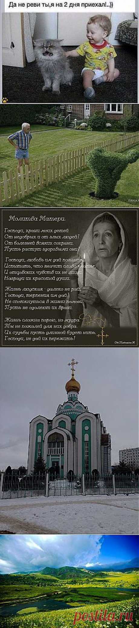 (1) Одноклассники