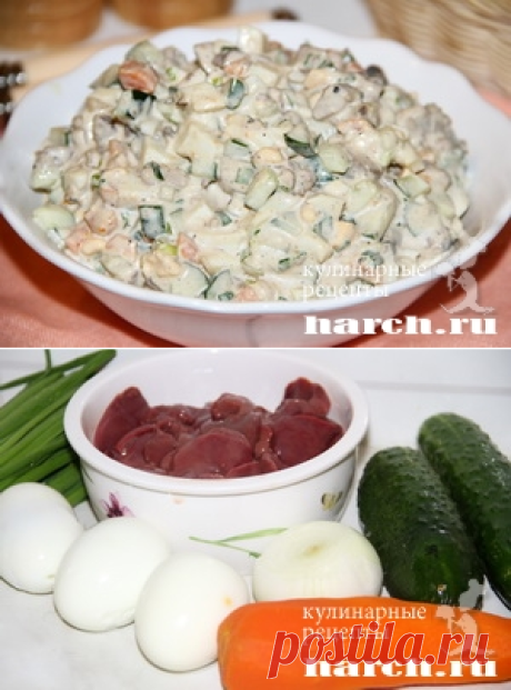 Салат из куриной печени со свежим огурцом 
250 г куриной печени
3 яйца
2 свежих огурца
1 вареная морковь
1 луковица
1 пучок зеленого лука
Соль, молотый черный перец, майонез, масло для жарки печени с луком
