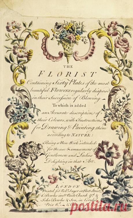 The florist : containing sixty plates of the most beautiful flowers regularly dispos'd in their succession of blowing : to which is added an accurate description of their colours, with instructions for drawing & painting them according to nature : being a new work intended for the use & amusement of gentlemen and ladies delighting in that art : Free Download, Borrow, and Streaming : Internet Archive