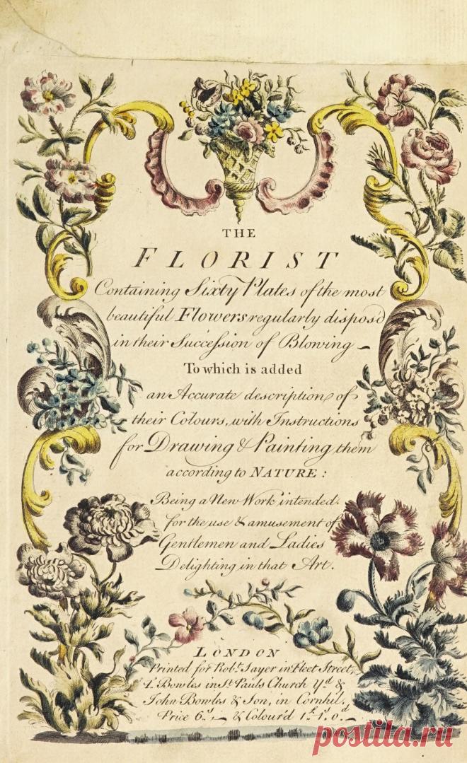 The florist : containing sixty plates of the most beautiful flowers regularly dispos'd in their succession of blowing : to which is added an accurate description of their colours, with instructions for drawing & painting them according to nature : being a new work intended for the use & amusement of gentlemen and ladies delighting in that art : Free Download, Borrow, and Streaming : Internet Archive