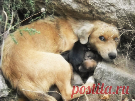 Мама – и этим все сказано – Фитнес для мозга
