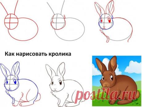 Много способов, как нарисовать кролика