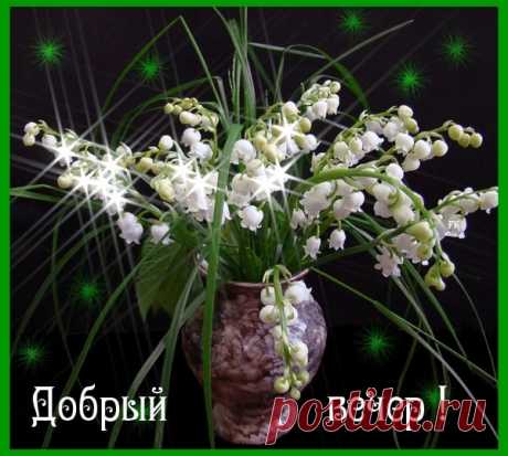 Зина Таирова