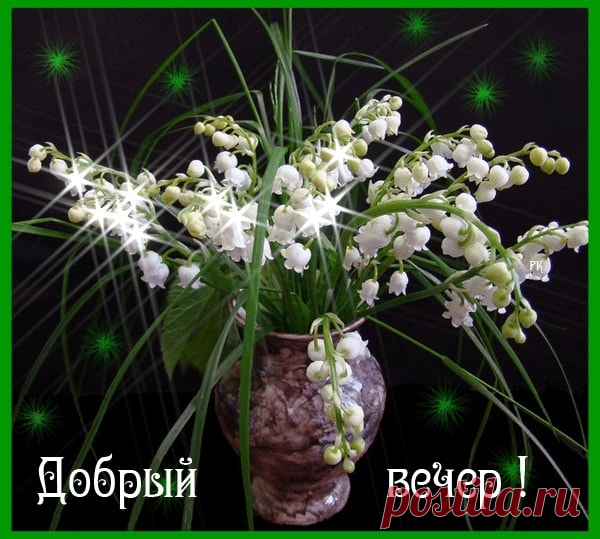 Зина Таирова