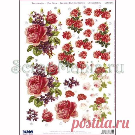 reddy creative cards: 14 тыс изображений найдено в Яндекс.Картинках