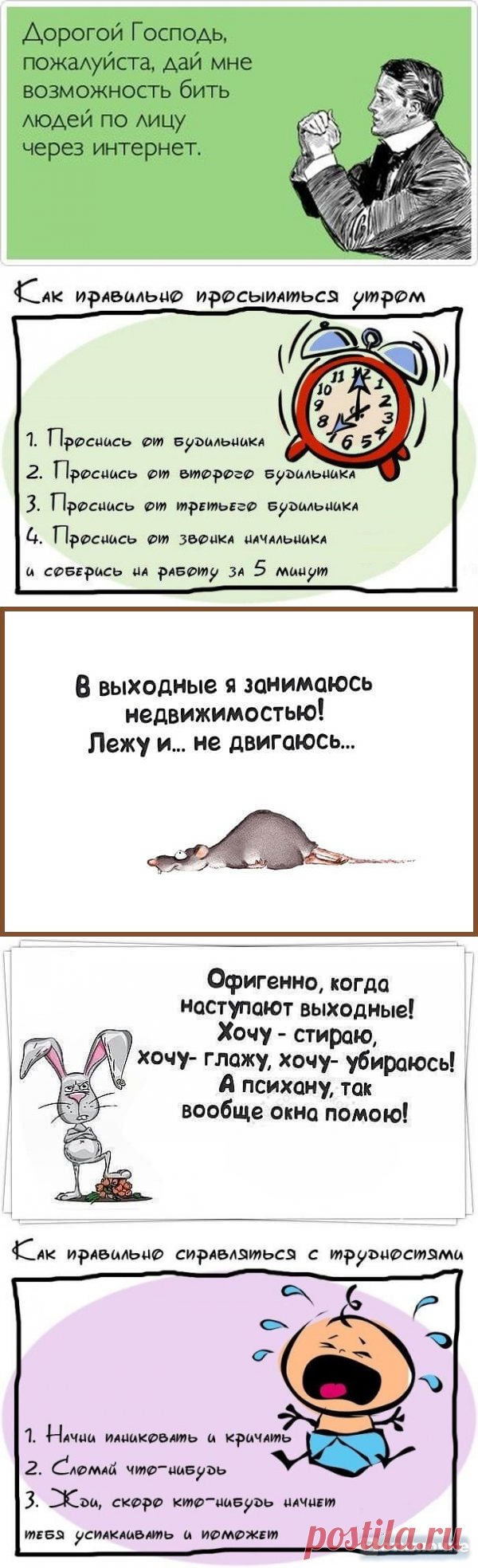 Задорные шутки с сарказмом | В темпі життя