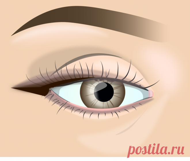 Растушеванная стрелка - макияж, который идет почти всем. Легкий пошаговый урок | Елена Юлкина | Яндекс Дзен