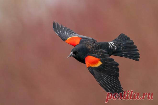 April 05, 2020.jpg Explore Geoff Newhouse Photography's photos on Flickr. Geoff Newhouse Photography has uploaded 6713 photos to Flickr.