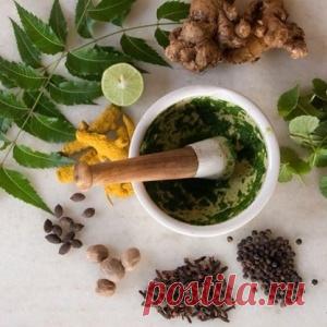 Лучшие эликсиры долголетия со всего мира