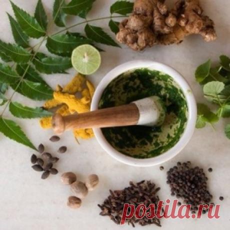 Лучшие эликсиры долголетия со всего мира