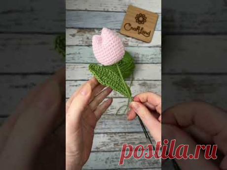 Ура! Весна 🌷💖