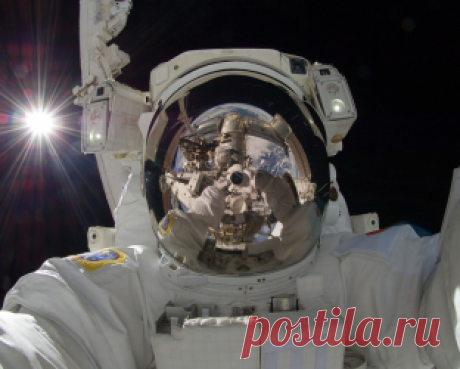 49. Сила воли определяет ваше будущее. 55 фактов, которыми можно удивить собеседника | Блог издательства «Манн, Иванов и Фербер»