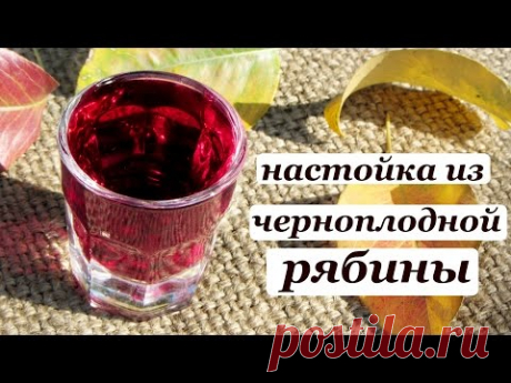 Как приготовить наливку или настойку из рябины: рецепты на водке и коньяке, польза и противопоказания