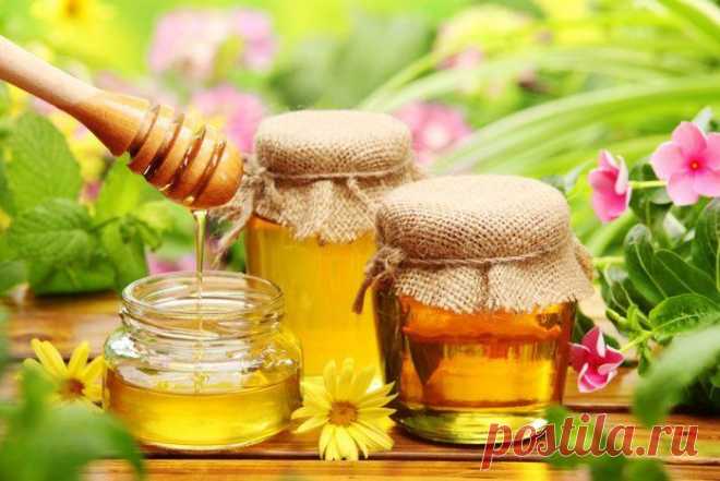 Рецепт целебной настойки «Медоводье»