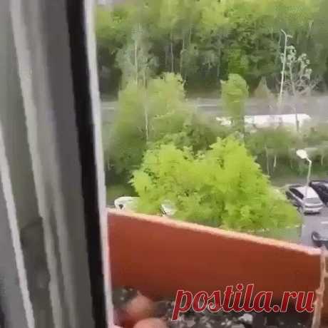 Только доброта спасет этот мир