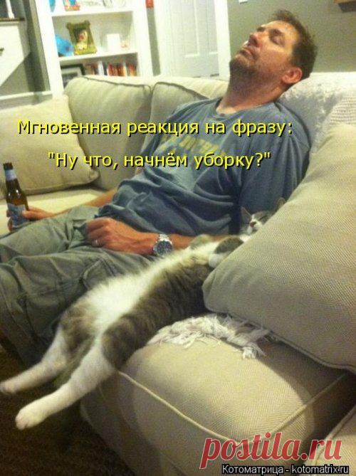 Они устали... (котоматрица)