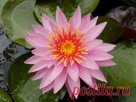 Редактировать описание