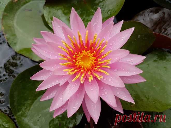 Редактировать описание