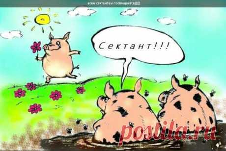 Это очень странный мир..
Если вы больны, несчастны, если вы страдаете - никто вам не скажет, что кто-то промыл вам мозги, и что кто-то вас загипнотизировал.
Но, если вы - улыбаетесь, радостно танцуете на улице, поёте песню, страстно чем-то увлечены и восхищаетесь чудесами природы - многие будут удивлены.
